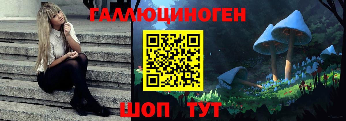 Галлюциногенные грибы мухоморы  где продают   Горячий Ключ  Вход с VPN 