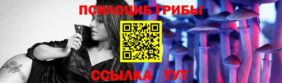 Псилоцибиновые грибы GOLDEN TEACHER Горячий Ключ
